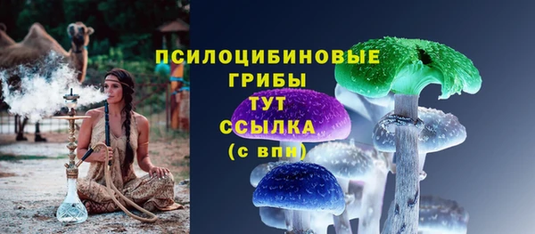 эйфоретик Алзамай