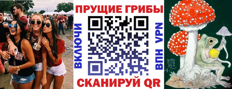 Галлюциногенные грибы GOLDEN TEACHER Пушкино